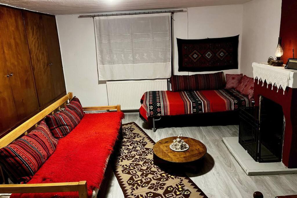 Traditional House "Plystario" Арнея Экстерьер фото